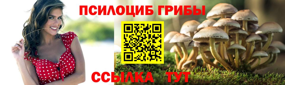 Псилоцибиновые грибы ЛСД  Вход с VPN  хочу наркоту  Полевской 